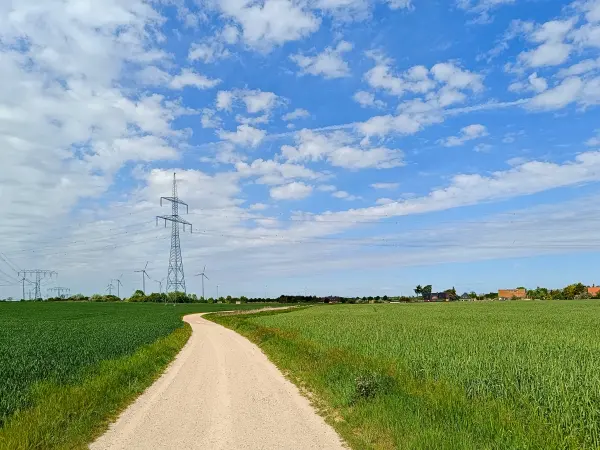 202505030-32 - Feldweg bei Neukammer, Havelland, Brandenburg, Deutschland