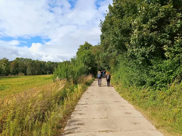 202508230-05 - Feldweg bei Petersdorf, Seenland Oder-Spree, Brandenburg, Deutschland