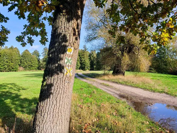 202310250-14 - Feldweg bei Rädel, Fläming, Brandenburg, Deutschland