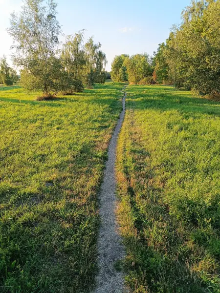 202607280-22 - Feldweg bei Rudow, Berlin, Deutschland