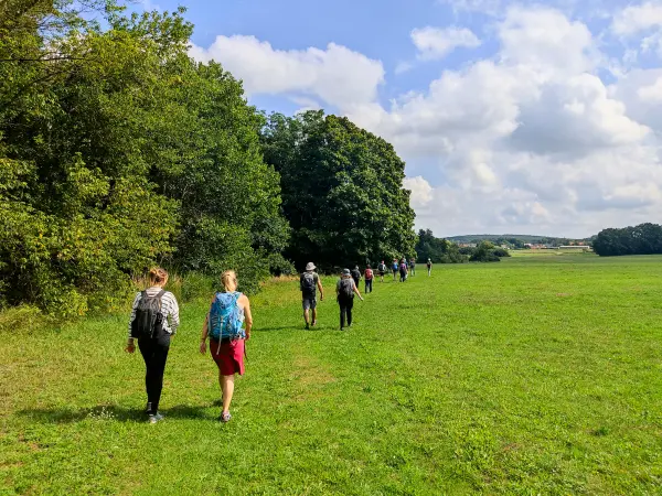 202308260-31 - Feldweg bei Schönhagen, Fläming, Brandenburg, Deutschland