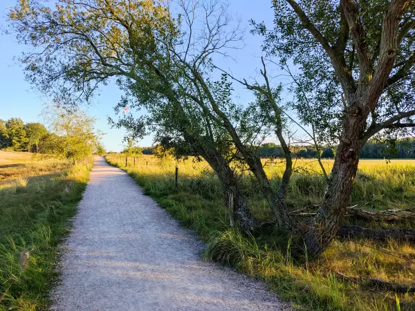 202309241-20 - Feldweg in der Boberger Niederung, Hamburg, Deutschland
