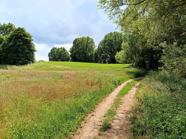 202506070-30 - Feldweg nach Lübars, Berlin, Deutschland