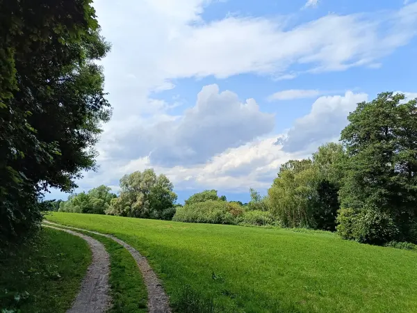 202506070-31 - Feldweg nach Lübars, Berlin, Deutschland