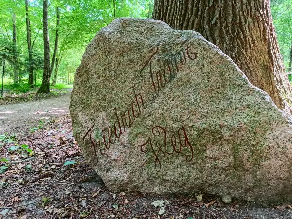 202506170-05 - Findling am Friedrich-Franz-Weg bei Lübstorf, Mecklenburgische Seenplatte, Mecklenburg-Vorpommern, Deutschland