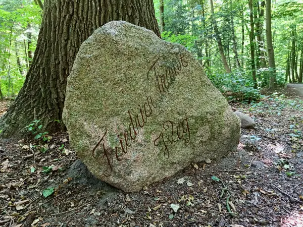 202506170-06 - Findling am Friedrich-Franz-Weg bei Lübstorf, Mecklenburgische Seenplatte, Mecklenburg-Vorpommern, Deutschland