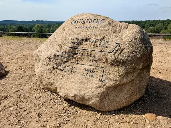 202308240-28 - Findling auf dem Brunsberg im Büsenbachtal, Lüneburger Heide, Niedersachsen, Deutschland