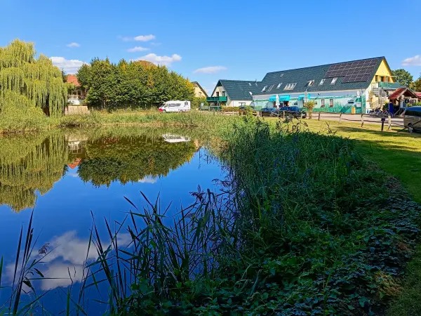 202508260-36 - Fischteich und Fischerei in Wendorf bei Alt Schwerin, Mecklenburgische Seenplatte, Mecklenburg-Vorpommern, Deutschland
