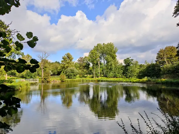 202309230-22 - Fischteiche bei Wohltorf, Herzogtum Lauenburg und Stormarn, Schleswig-Holstein, Deutschland