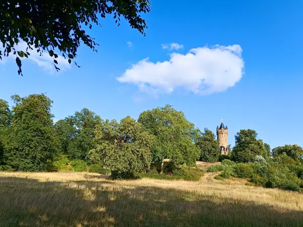 202507150-13 - Flatowturm im Park Babelsberg, Potsdam, Brandenburg, Deutschland