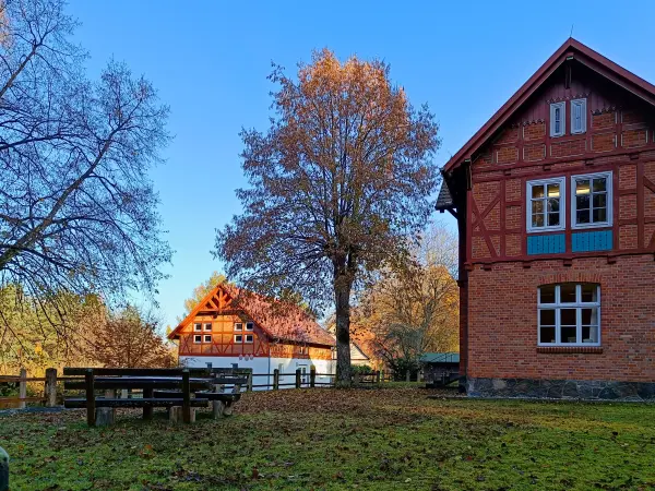 202511070-01 - Forsthaus Serrahn im Müritz-Nationalpark, Mecklenburgische Seenplatte, Mecklenburg-Vorpommern, Deutschland