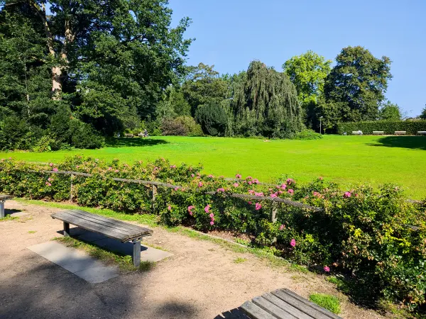 202308200-23 - Friedrichsberger Park in Barmbek, Hamburg, Deutschland