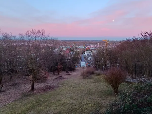 202603020-34 - Friedrichshöhe in Werder, Havelland, Brandenburg, Deutschland