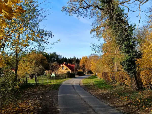 202511050-31 - Friedrichswalde, Mecklenburgische Seenplatte, Mecklenburg-Vorpommern, Deutschland