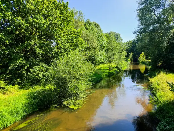 202308181-03 - Fuhse in Celle, Lüneburger Heide, Niedersachsen, Deutschland