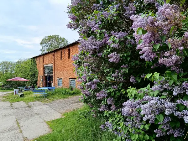 202605090-28 - Galerie und Café in Louisenhof, Uckermark, Brandenburg, Deutschland