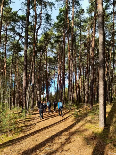 202510110-20 - Galgenberg bei Wilhelmshorst, Fläming, Brandenburg, Deutschland