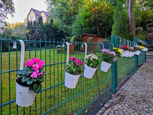 202309110-33 - Gartengrundstück in Fürstenberg, Ruppiner Seenland, Brandenburg, Deutschland