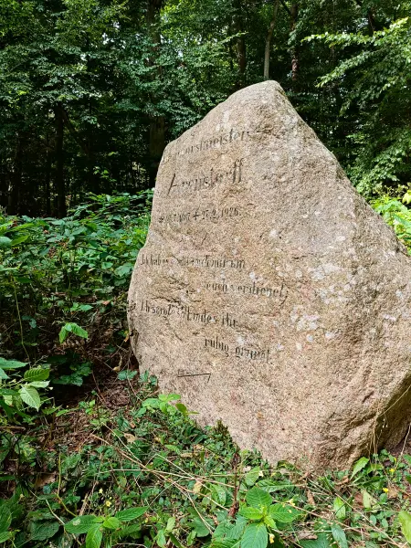 202509010-15 - Gedenkstein am Peetschsee im NSG Stechlin, Ruppiner Seenland, Brandenburg, Deutschland