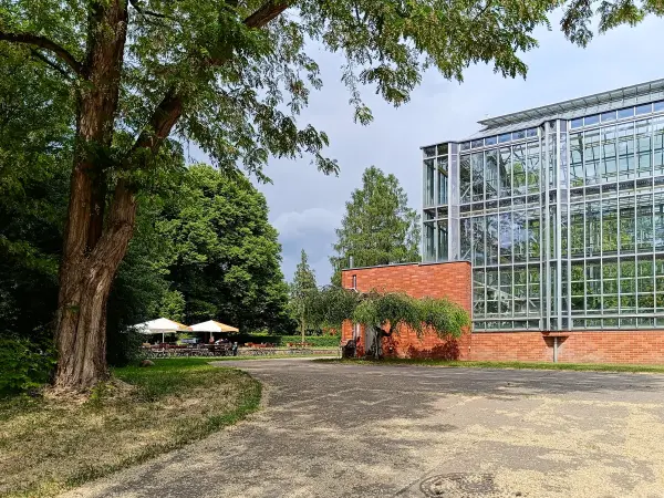 202506070-11 - Gewächshäuser im Botanischen Volkspark Pankow, Berlin, Deutschland