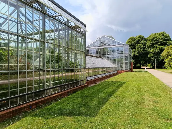 202506070-12 - Gewächshäuser im Botanischen Volkspark Pankow, Berlin, Deutschland