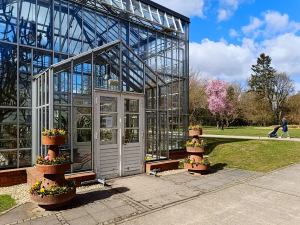 202604060-17 - Gewächshaus im Botanischen Volkspark Blankenfelde, Berlin, Deutschland