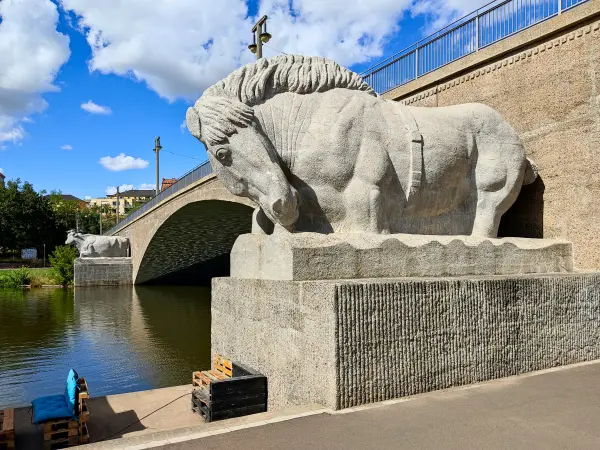 202308090-45 - Giebichensteinbrücke in Halle, Sachsen-Anhalt, Deutschland