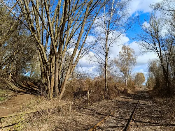 202604060-09 - Gleise der Heidekrautbahn bei Blankenfelde, Berlin, Deutschland