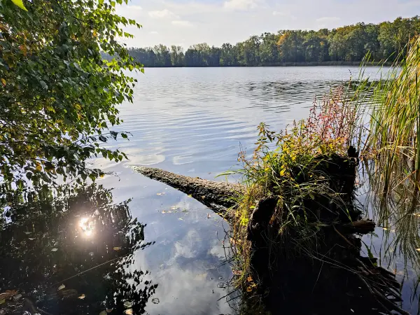 202310250-09 - Gohlitzsee bei Kloster Lehnin, Fläming, Brandenburg, Deutschland