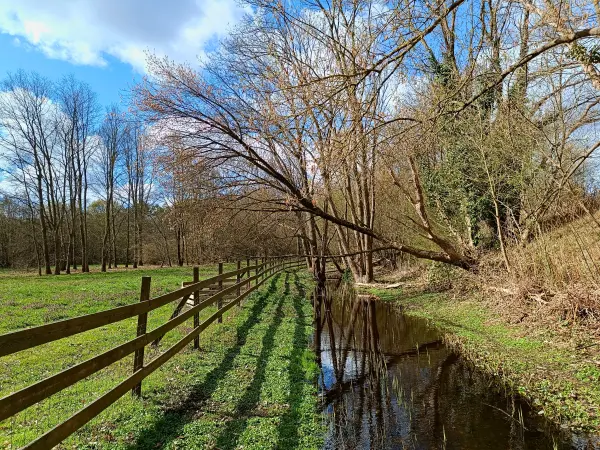 202604060-14 - Graben am Botanischen Volkspark Blankenfelde, Berlin, Deutschland