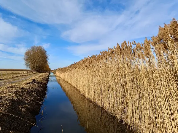 202603020-20 - Graben bei Phöben, Havelland, Brandenburg, Deutschland