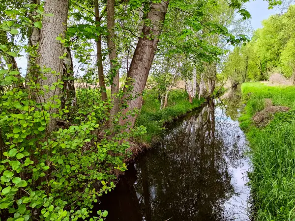 202505080-39 - Graben bei Treuenbrietzen, Fläming, Brandenburg, Deutschland