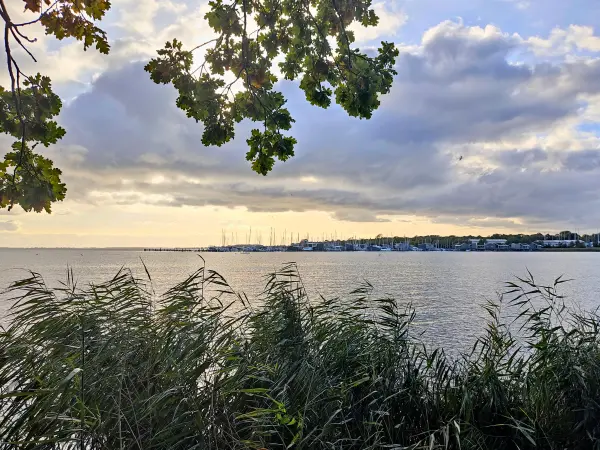 202310160-37 - Greifswalder Bodden bei Lauterbach, Rügen, Mecklenburg-Vorpommern, Deutschland