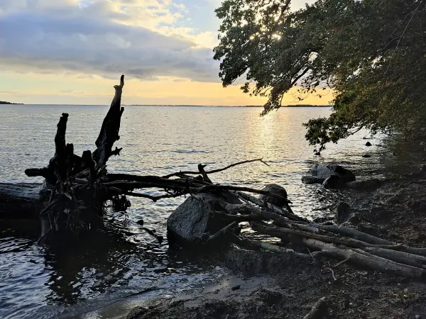 202310160-40 - Greifswalder Bodden bei Lauterbach, Rügen, Mecklenburg-Vorpommern, Deutschland