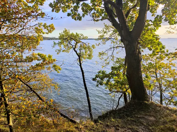 202310160-43 - Greifswalder Bodden bei Lauterbach, Rügen, Mecklenburg-Vorpommern, Deutschland