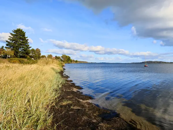 202310160-31 - Greifswalder Bodden bei Neuendorf, Rügen, Mecklenburg-Vorpommern, Deutschland