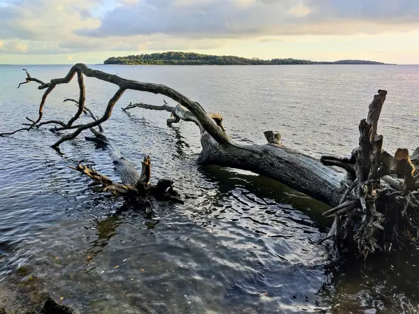 202310160-39 - Greifswalder Bodden und Insel Vilm bei Lauterbach, Rügen, Mecklenburg-Vorpommern, Deutschland