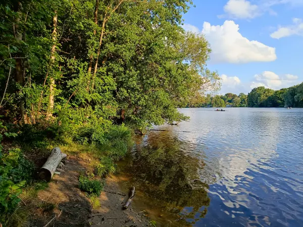 202507150-21 - Griebnitzsee, Berlin, Deutschland