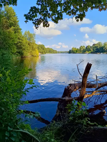 202507150-22 - Griebnitzsee, Berlin, Deutschland
