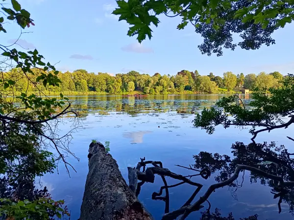 202507150-25 - Griebnitzsee, Berlin, Deutschland