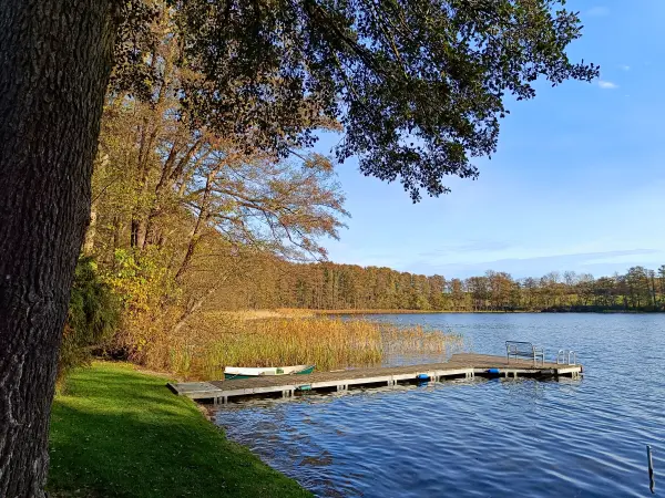 202511050-16 - Groß Labenzer See bei Klein Labenz, Mecklenburgische Seenplatte, Mecklenburg-Vorpommern, Deutschland