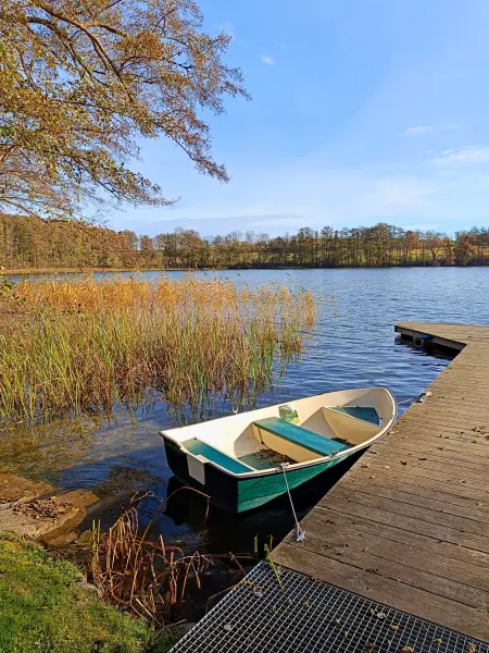 202511050-17 - Groß Labenzer See bei Klein Labenz, Mecklenburgische Seenplatte, Mecklenburg-Vorpommern, Deutschland
