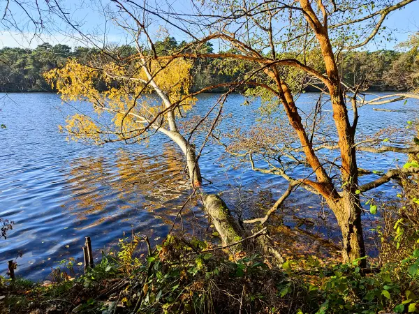 202311130-37 - Große Krampe bei Müggelheim, Berlin, Deutschland