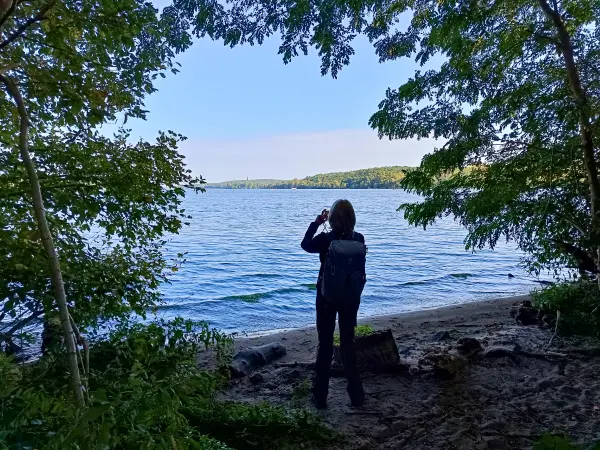 202509270-06 - Große Steinlanke an der Havel, Berlin, Deutschland