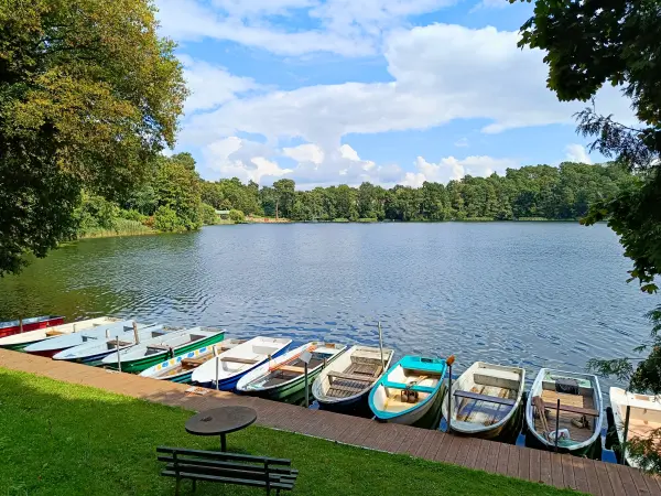 202508020-22 - Großer Däbersee bei Waldsieversdorf, Märkische Schweiz, Seenland Oder-Spree, Brandenburg, Deutschland