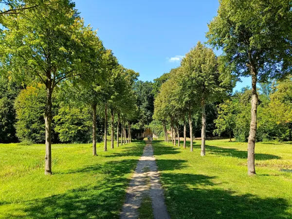 202508110-04 - Großer Damm im Schlosspark Rheinsberg, Ruppiner Seenland, Brandenburg, Deutschland