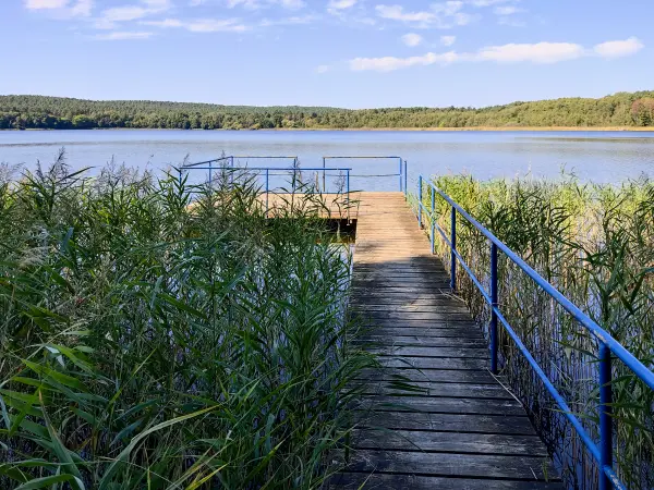 202309160-08 - Großer Glubigsee bei Wendisch Rietz, Seenland Oder-Spree, Brandenburg, Deutschland