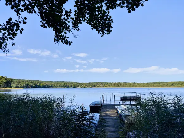 202309160-12 - Großer Glubigsee bei Wendisch Rietz, Seenland Oder-Spree, Brandenburg, Deutschland