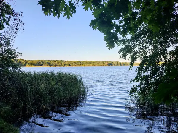 202309160-34 - Großer Glubigsee bei Wendisch Rietz, Seenland Oder-Spree, Brandenburg, Deutschland