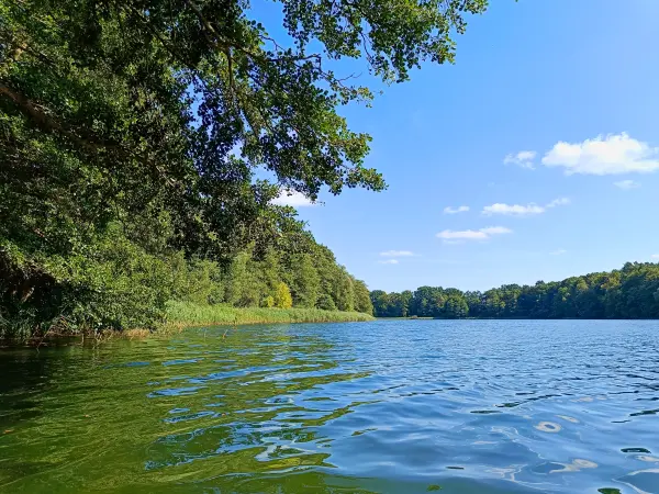 202508160-20 - Großer Mahlgastsee bei Röddelin, Uckermark, Brandenburg, Deutschland